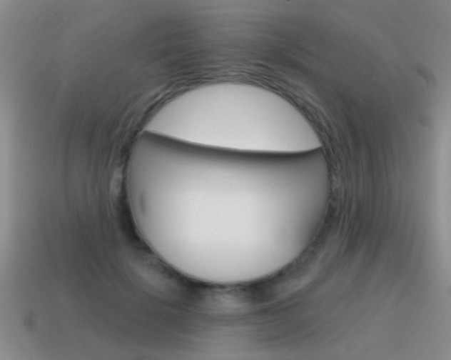 X0000115590652200911100932