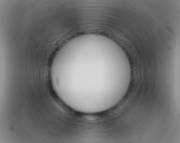 X0000115590654200911100932