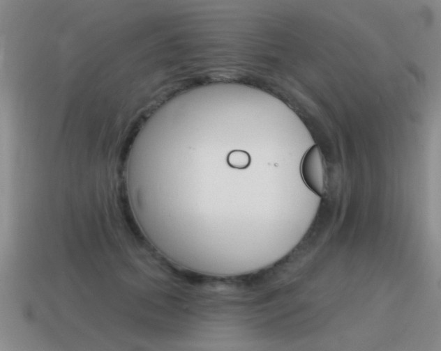 X0000115590655200911100932