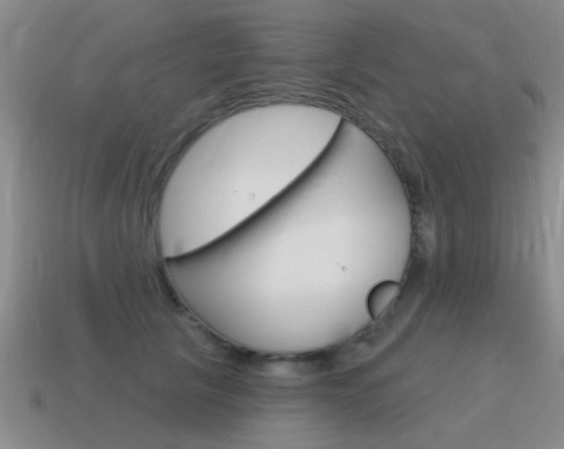 X0000115590657200911100932