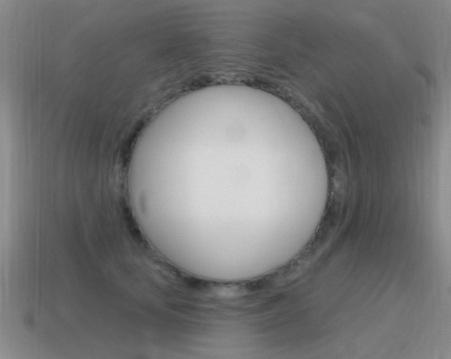 X0000115590659200911100932