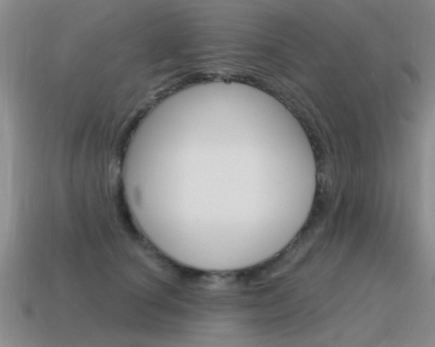 X0000115590660200911100932