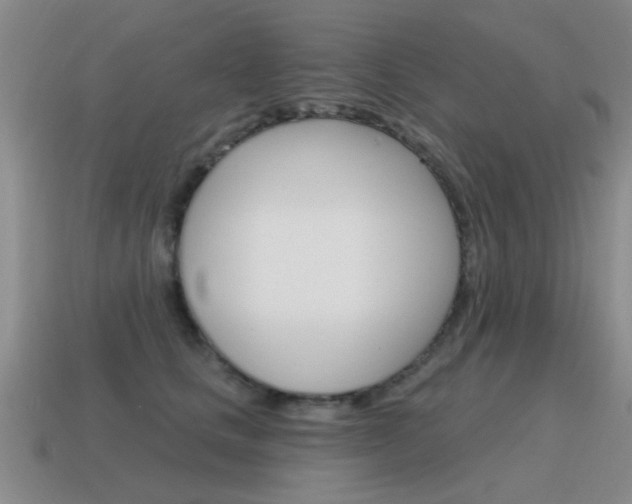 X0000115590661200911100932