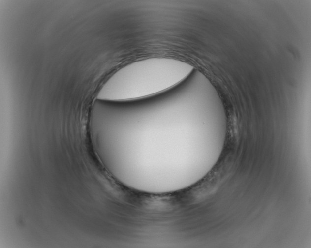X0000115590664200911100932