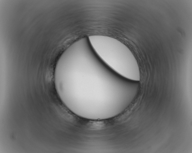 X0000115590665200911100932