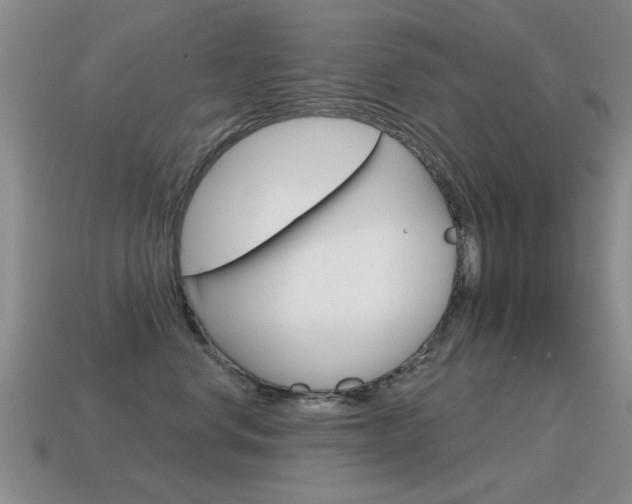 X0000115590668200911100932