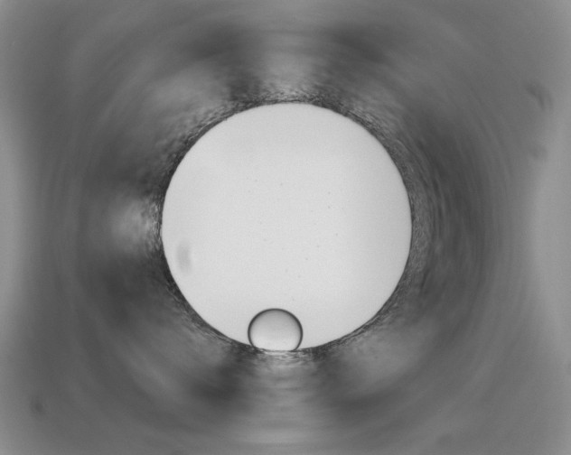 X0000115590672200911100932