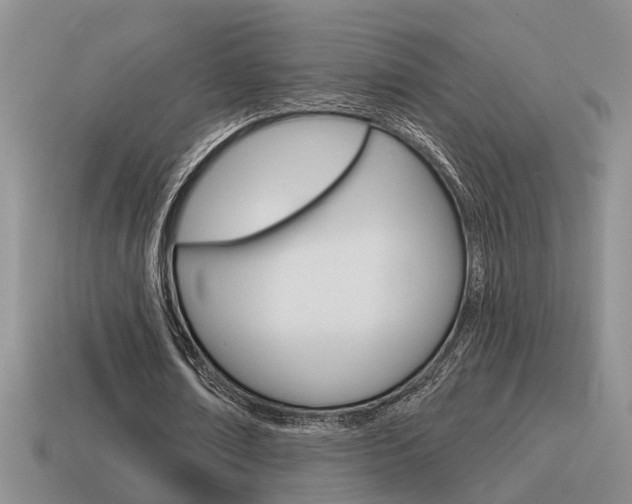 X0000115590674200911100932