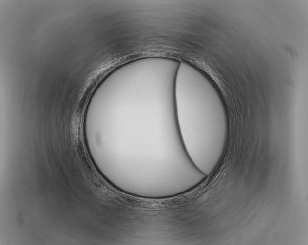 X0000115590675200911100931