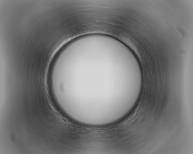 X0000115590676200911100931