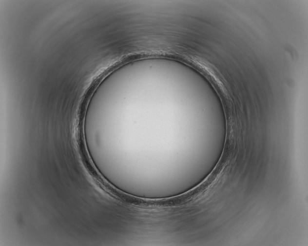 X0000115590677200911100931