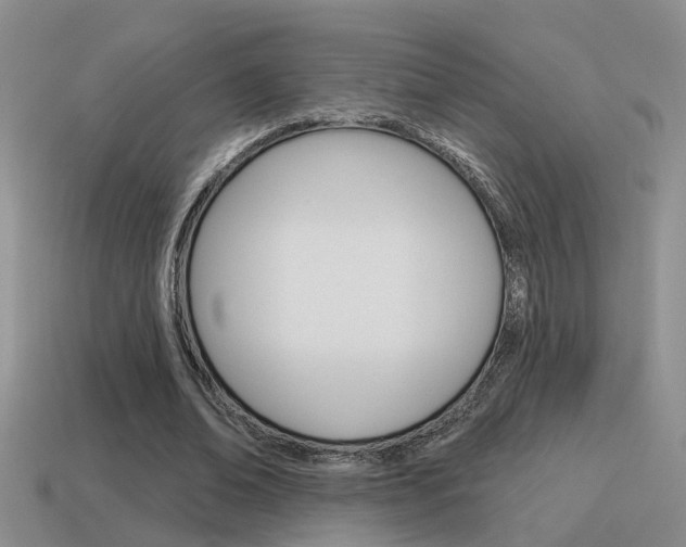 X0000115590678200911100931