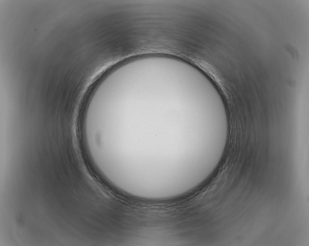 X0000115590680200911100931