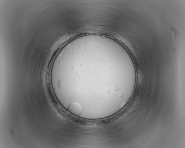 X0000115590682200911100931