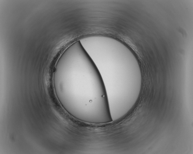 X0000115590683200911100931