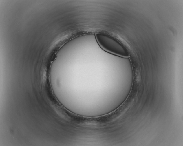 X0000115590685200911100931
