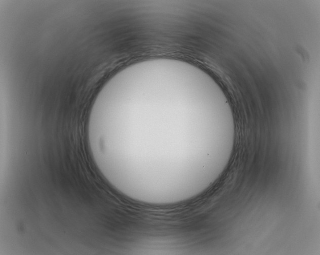 X0000115590689200911100931