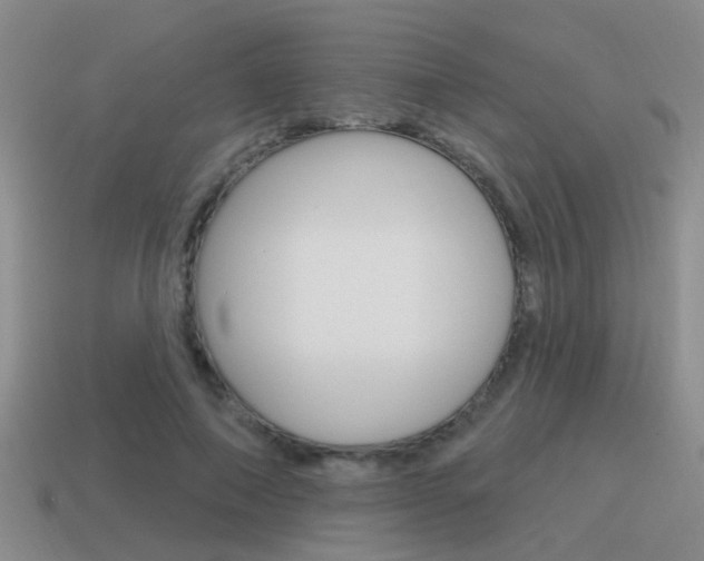 X0000115590690200911100931