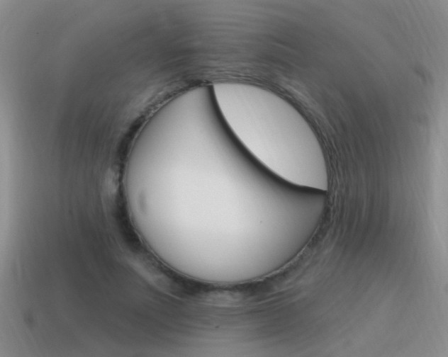 X0000115590691200911100931
