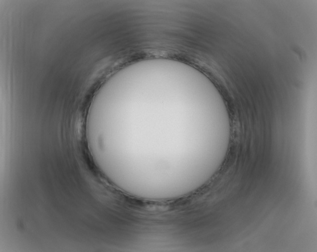 X0000115590694200911100931