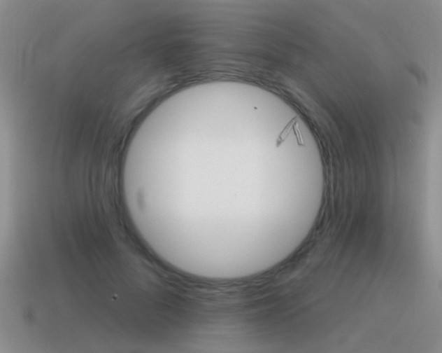 X0000115590696200911100931