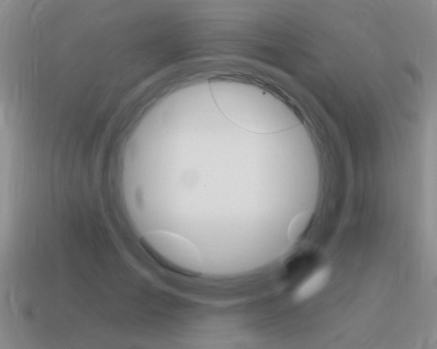 X0000115590701200911100931