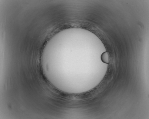 X0000115590702200911100931