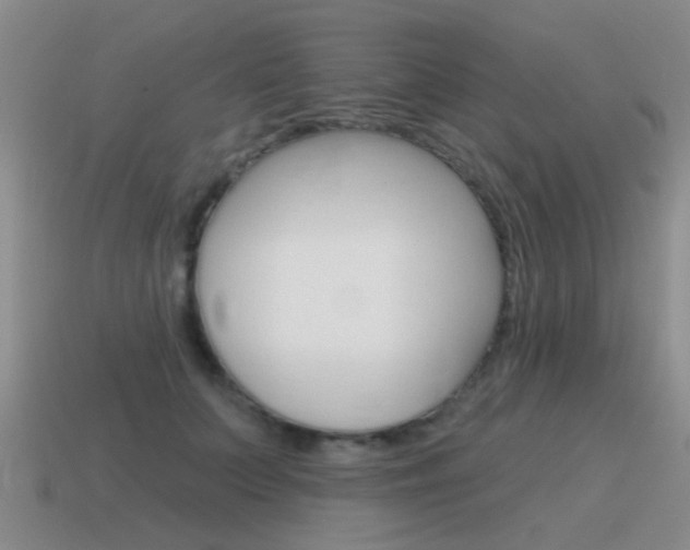 X0000115590703200911100931