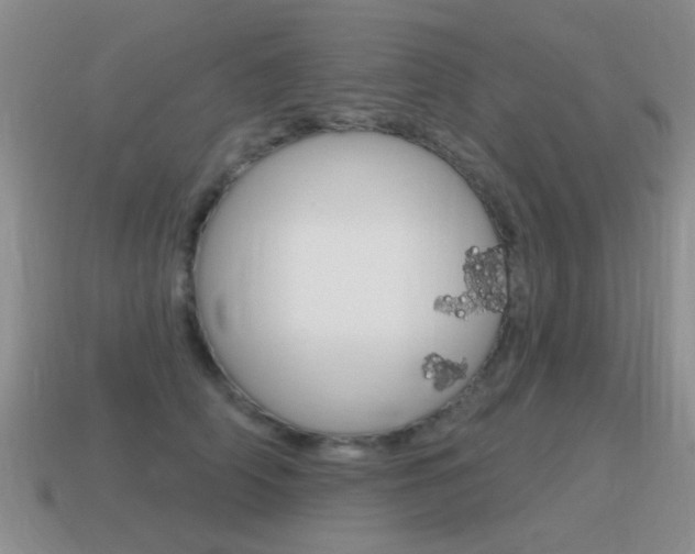 X0000115590706200911100931