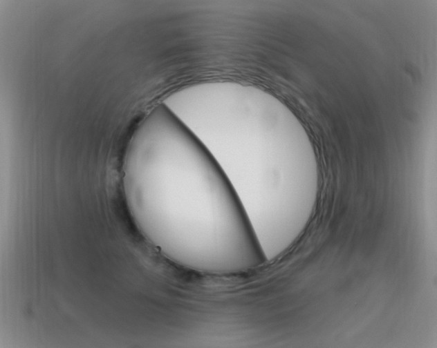 X0000115590707200911100931