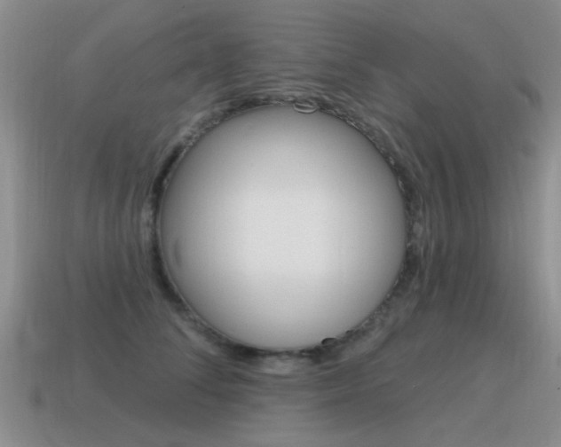 X0000115590708200911100931