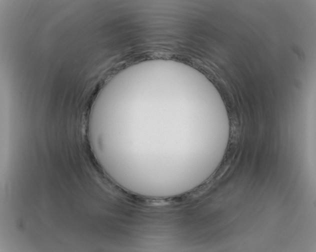X0000115590710200911100931