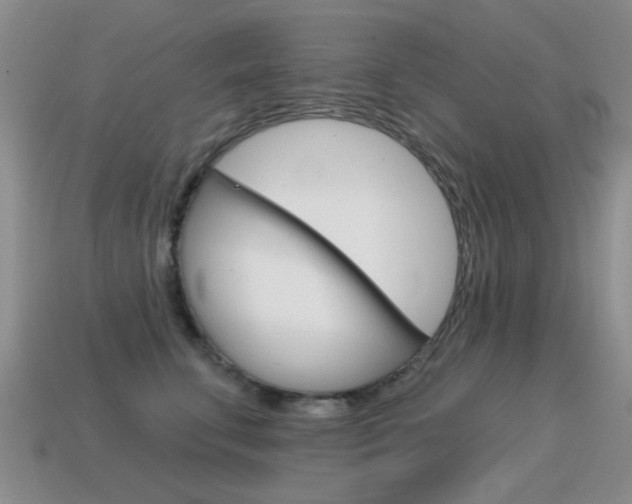 X0000115590711200911100931