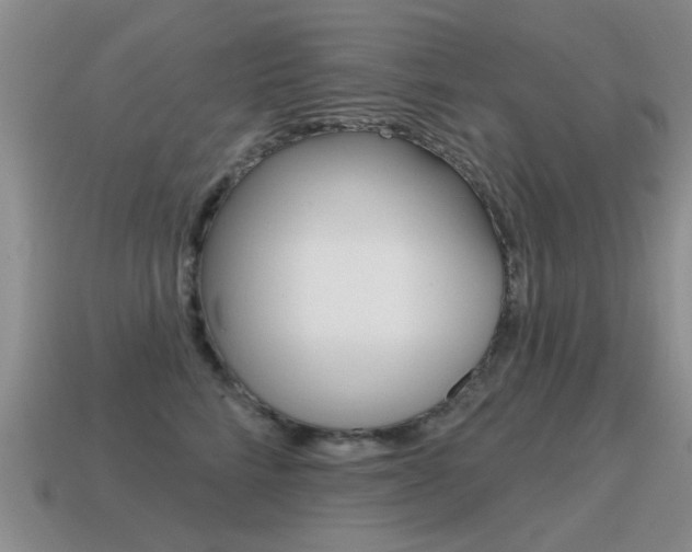 X0000115590712200911100931