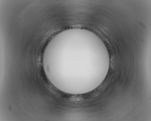 X0000115590714200911100931