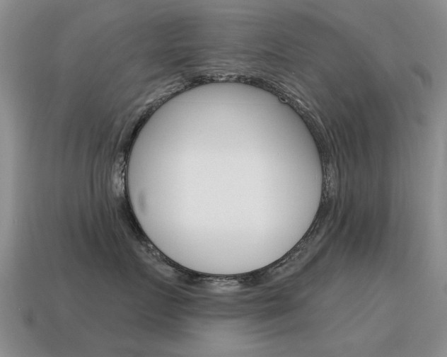 X0000115590719200911100931