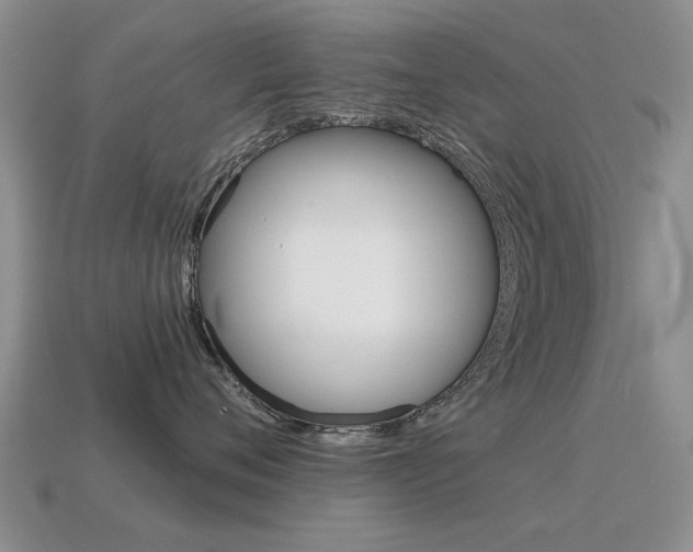 X0000115590720200911100931
