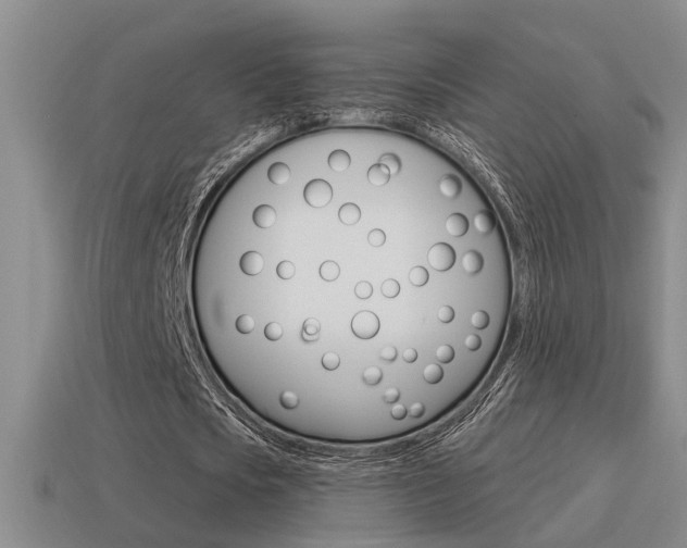 X0000115590721200911100930