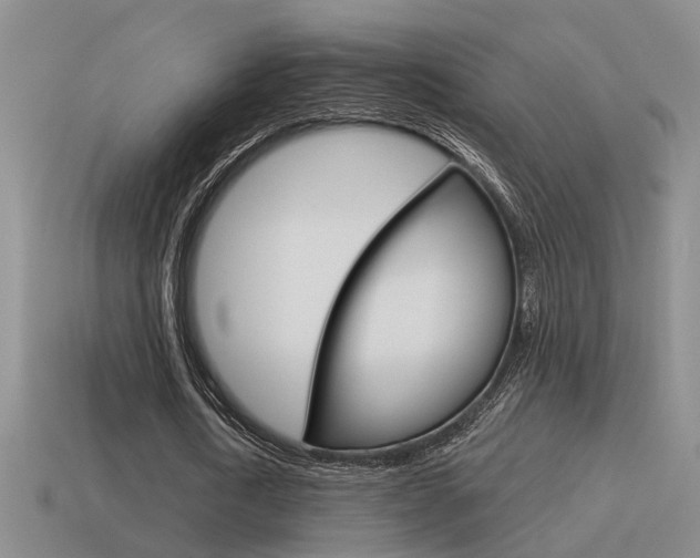 X0000115590722200911100930