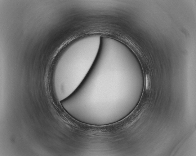 X0000115590723200911100930