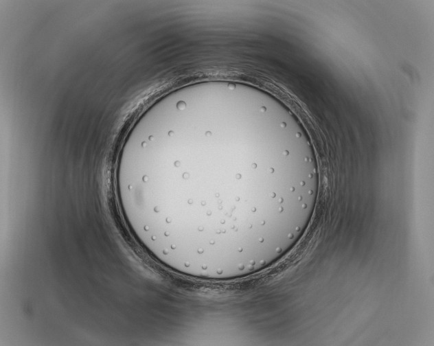 X0000115590725200911100930