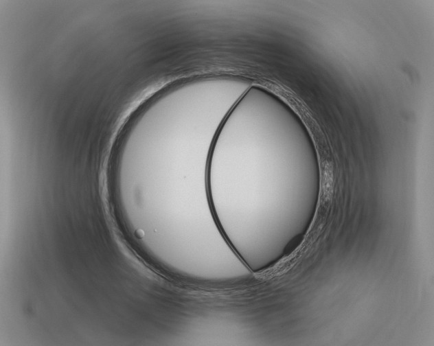 X0000115590726200911100930