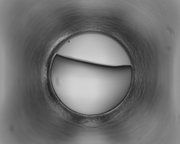 X0000115590727200911100930