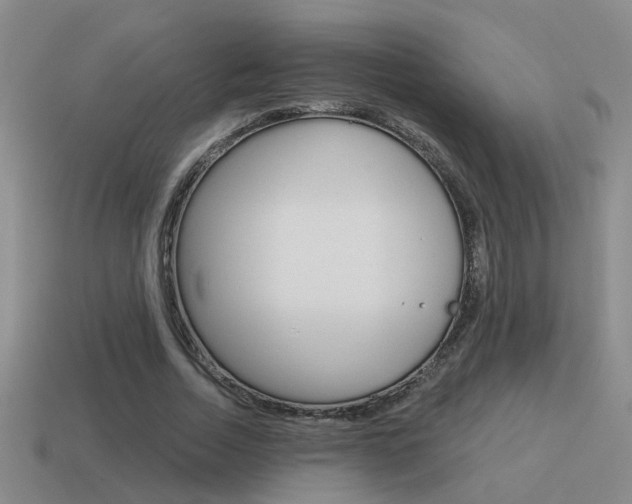 X0000115590730200911100930
