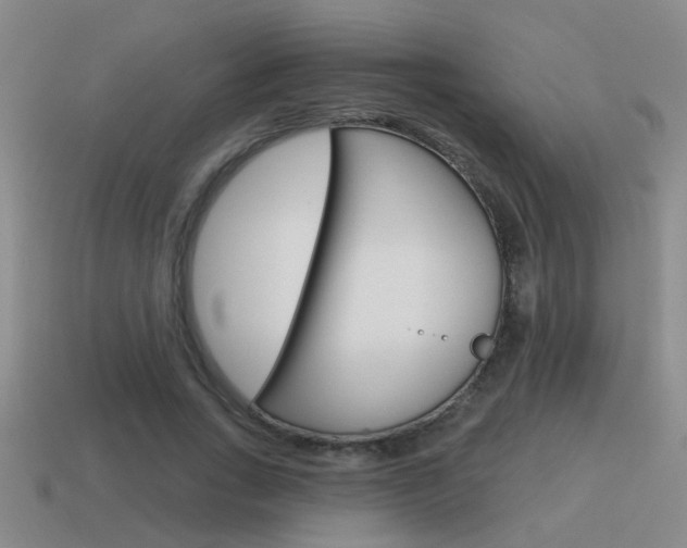 X0000115590735200911100930