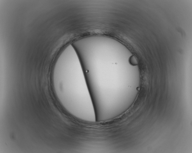 X0000115590738200911100930