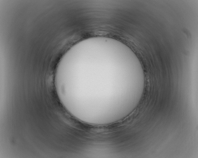 X0000115590745200911100930