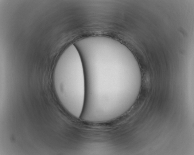 X0000115590746200911100930