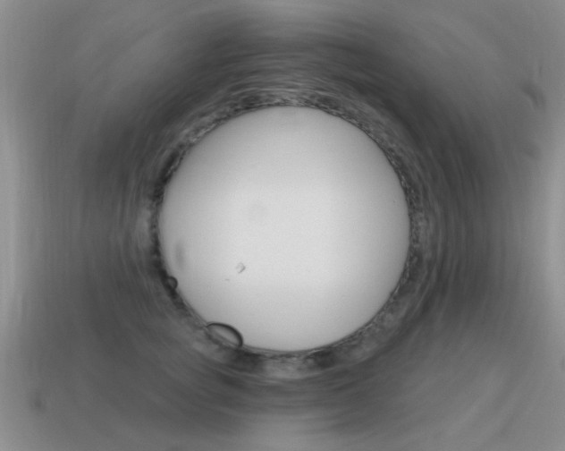 X0000115590757200911100931