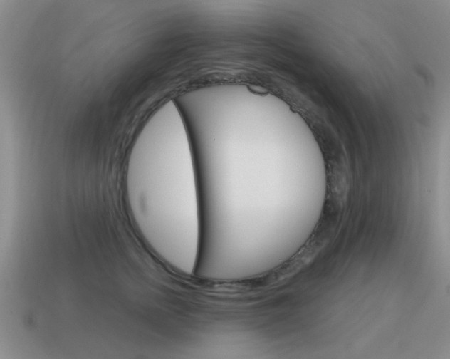 X0000115590758200911100931